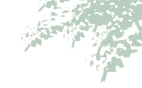 Green Leaf Silhouette with Dappled Sunlight Background Illustrazione stock