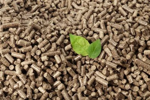 Green leaf on solid wooden pellets background 스톡 사진