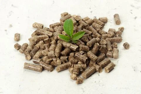 Green leaf on solid wooden pellets background Foto stock