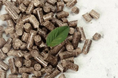 Green leaf on solid wooden pellets background Foto stock