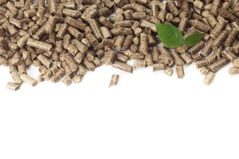 Green leaf on solid wooden pellets background 스톡 사진