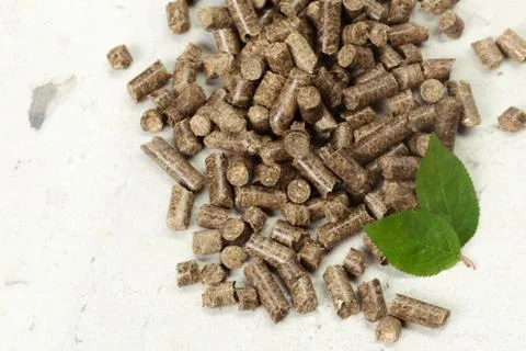 Green leaf on solid wooden pellets background 스톡 사진
