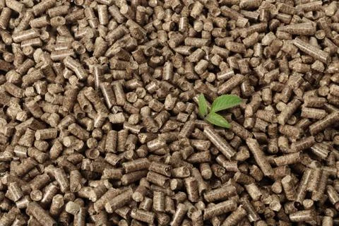 Green leaf on solid wooden pellets background Stock Photos