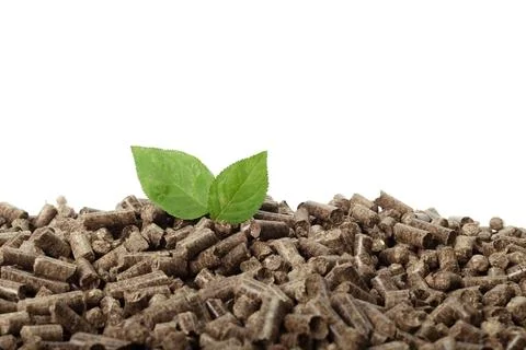 Green leaf on solid wooden pellets background 스톡 사진
