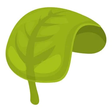Green leaf spice icon cartoon vector. Herb oregano Stock Illustration