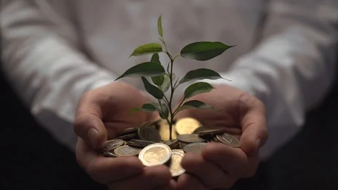 Green leaf of sprout growing in the hands of broker out of golden coins Stock Footage 124643786