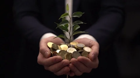 Green leaf of sprout growing in the hands of broker out of golden coins Stock Footage 124643787