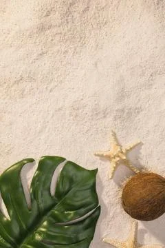 Green leaf with starfish beach Foto stock