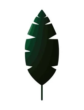 Green leaf with stem in a white background Stock Illustration