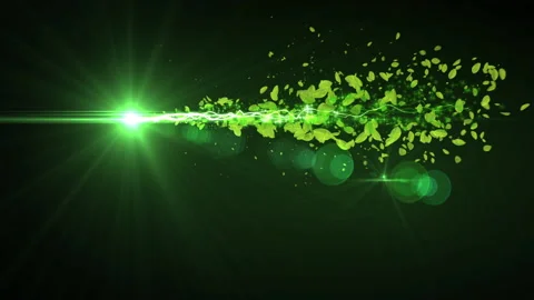 Green leaf stroke line particle animation Stock Footage 147262507
