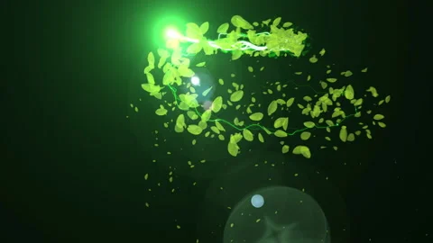 Green leaf stroke line particle animation Stock Footage 147262681