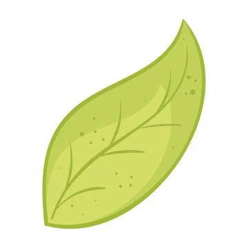 Green leaf with subtle texture on white background, vector illustration Illustrazione stock