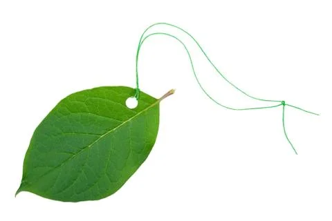 Green leaf tag Stock Photos