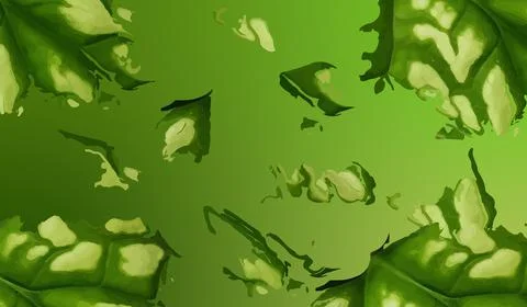 Green leaf tear. Leaves texture background. green background Stock Illustration