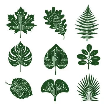 Green Leaf Technology Circuit Pattern Illustrazione stock