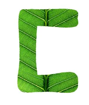 Green Leaf Texture Alphabet Stock Photos