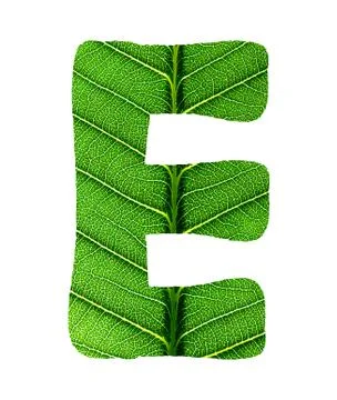 Green Leaf Texture Alphabet Stock Photos