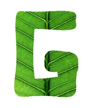 Green Leaf Texture Alphabet Stock Photos