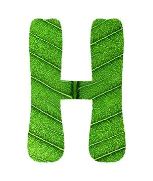 Green Leaf Texture Alphabet Stock Photos