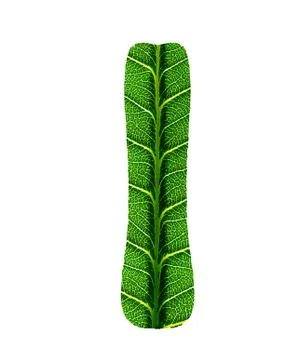 Green Leaf Texture Alphabet Stock Photos