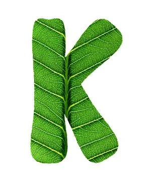 Green Leaf Texture Alphabet Stock Photos