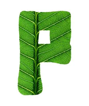 Green Leaf Texture Alphabet Stock Photos