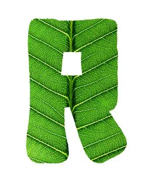 Green Leaf Texture Alphabet Stock Photos