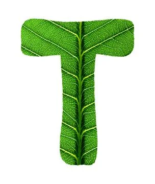 Green Leaf Texture Alphabet Stock Photos