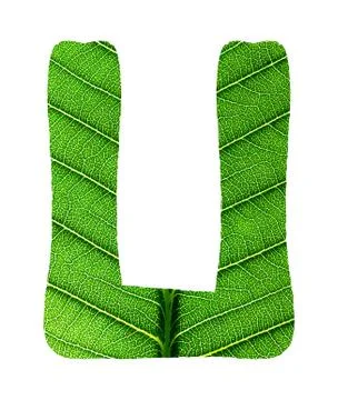Green Leaf Texture Alphabet Stock Photos