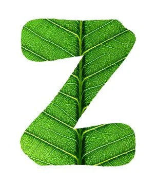 Green Leaf Texture Alphabet Stock Photos