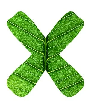 Green Leaf Texture Alphabet Stock Photos