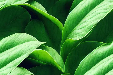 Green leaf texture background, seamless pattern. Stock Photos