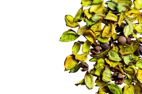 Green leaf texture Stock Photos