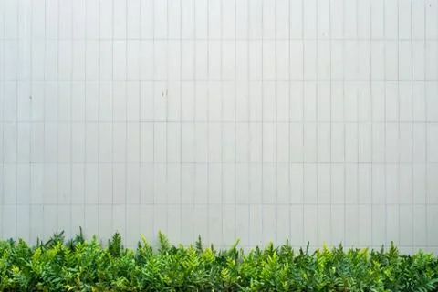 Green leaf with tiles pattern background at Bangkok. Stock Photos