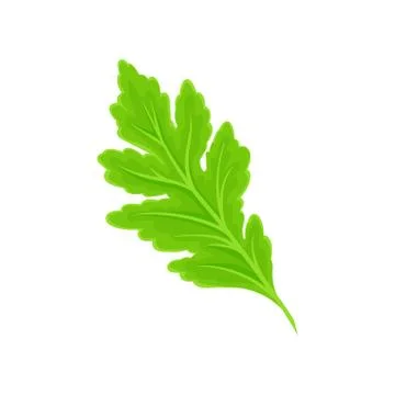 Green leaf tilted to the left. Vector illustration on white background. Illustrazione stock