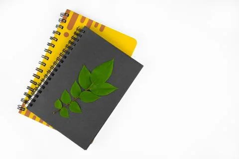 Green leaf on top of two different colored paper diary before a paper backgro Stock Photos