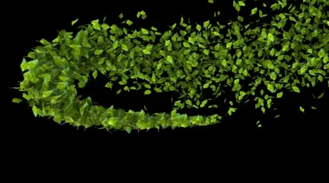 Green leaf trail Video stock 2629491