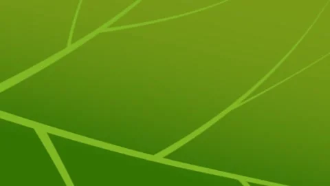 Green leaf transition animation with randomly floating leaves from center. Stock Footage 337733673
