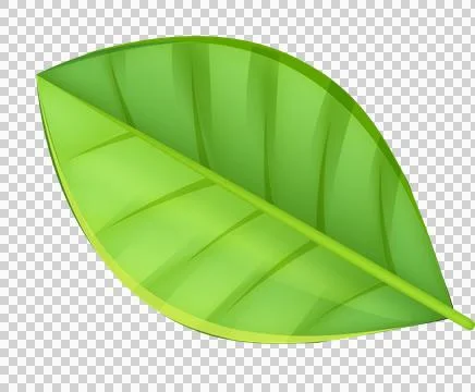 Green leaf tree icon, eco organic, mint tea, vegan plant, herbal sprout. fr.. Stock Illustration