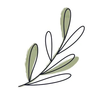 Green leaf from a tree, sketch style Stock Illustration