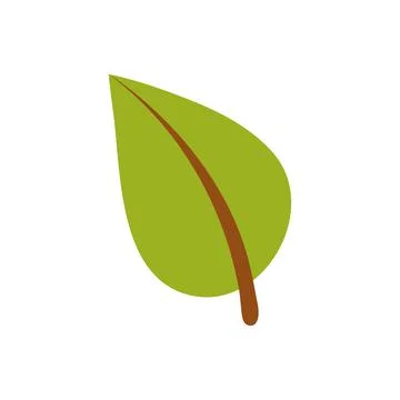 Green leaf of a tree. Vector illustration on white isolated background Stock Illustration