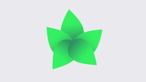 Green Leaf Trio Stock Footage 335637971