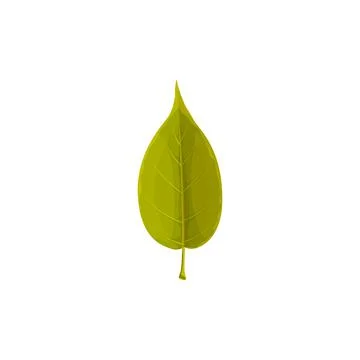 Green leaf vector icon, cartoon tree foliage, sign Illustrazione stock