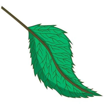Green leaf. vector illustration. Drawing by hand. Stock Illustration