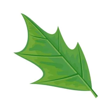 Green Leaf Vector Illustration in Flat Design Illustrazione stock