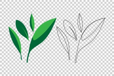 Green leaf vector illustration isolated on a white background, leaf line art Stock Illustration