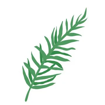 Green leaf vector illustration. Natural plant element isolated on white backg Stock Illustration