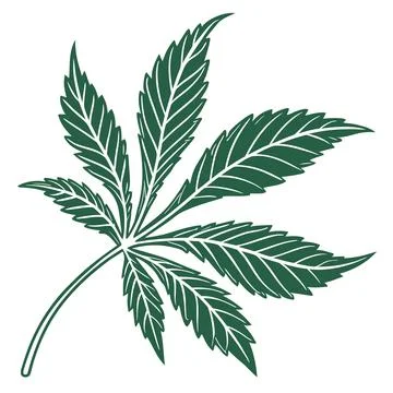 Green Leaf Vector Illustration Simple Flat Design (2) vector illustration d.. 스톡 일러스트