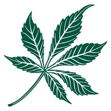 Green Leaf Vector Illustration Simple Flat Design vector illustration desig.. Stock Illustration