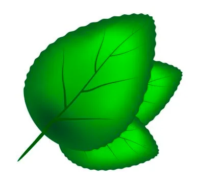 Green leaf  vector symbol icon design. Stock Illustration
